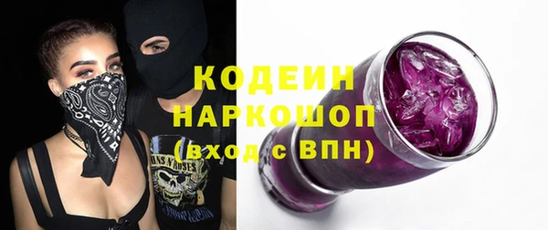 ГАЛЛЮЦИНОГЕННЫЕ ГРИБЫ Гусь-Хрустальный