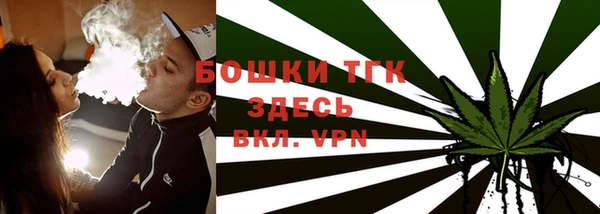 дурь Гусев