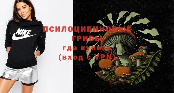 spice Гусиноозёрск