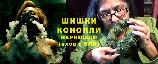 ГАЛЛЮЦИНОГЕННЫЕ ГРИБЫ Гусь-Хрустальный
