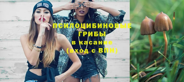 дурь Гусев