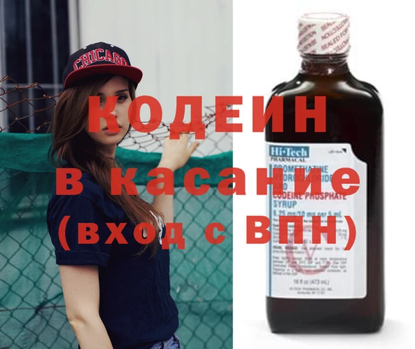 ГАЛЛЮЦИНОГЕННЫЕ ГРИБЫ Гусь-Хрустальный