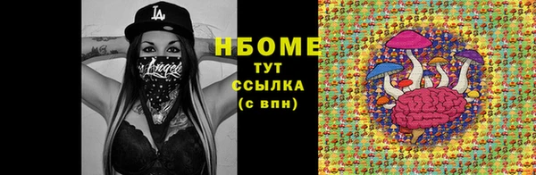 дурь Гусев