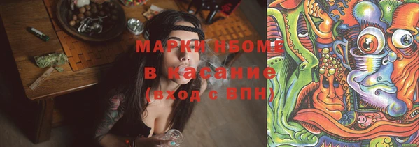 дурь Гусев