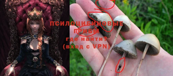 spice Гусиноозёрск