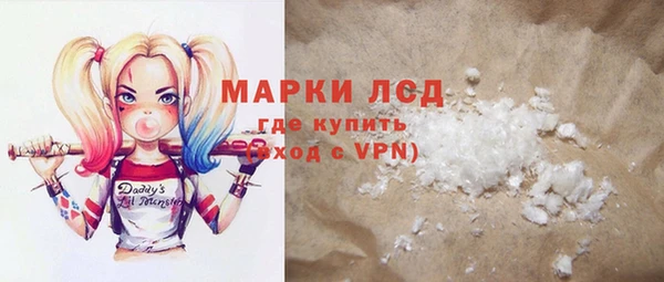ГАЛЛЮЦИНОГЕННЫЕ ГРИБЫ Гусь-Хрустальный